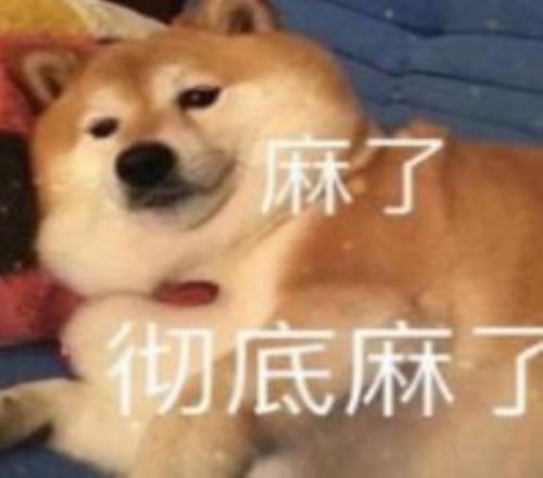 曼城内部冲,坎塞洛与瓜,迪奥拉传闻,开云彩票,互动竞猜平台,在线娱乐,预测挑战,开云彩票APP下载